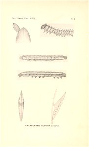 n101_w1150