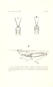n229_w1150