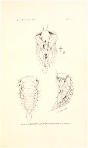 n296_w1150