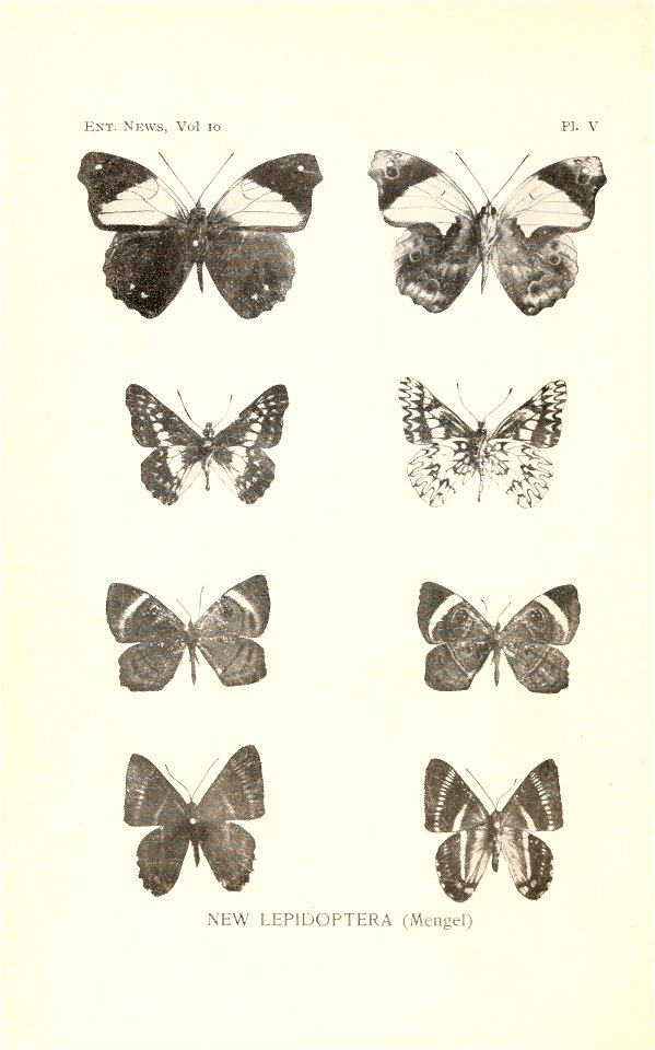 n181_w1150