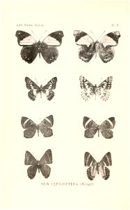 n181_w1150