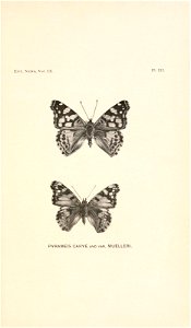 n52_w1150