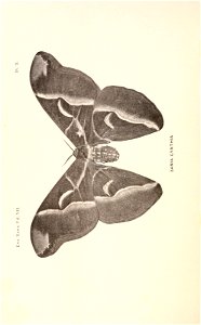 n321_w1150