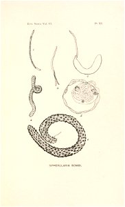 n282_w1150