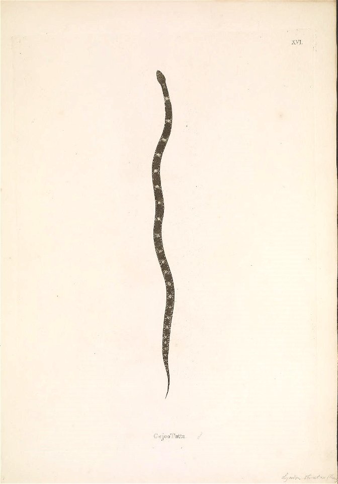 n104_w1150