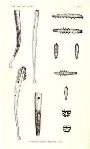 n497_w1150