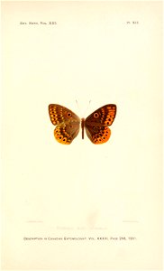n254_w1150