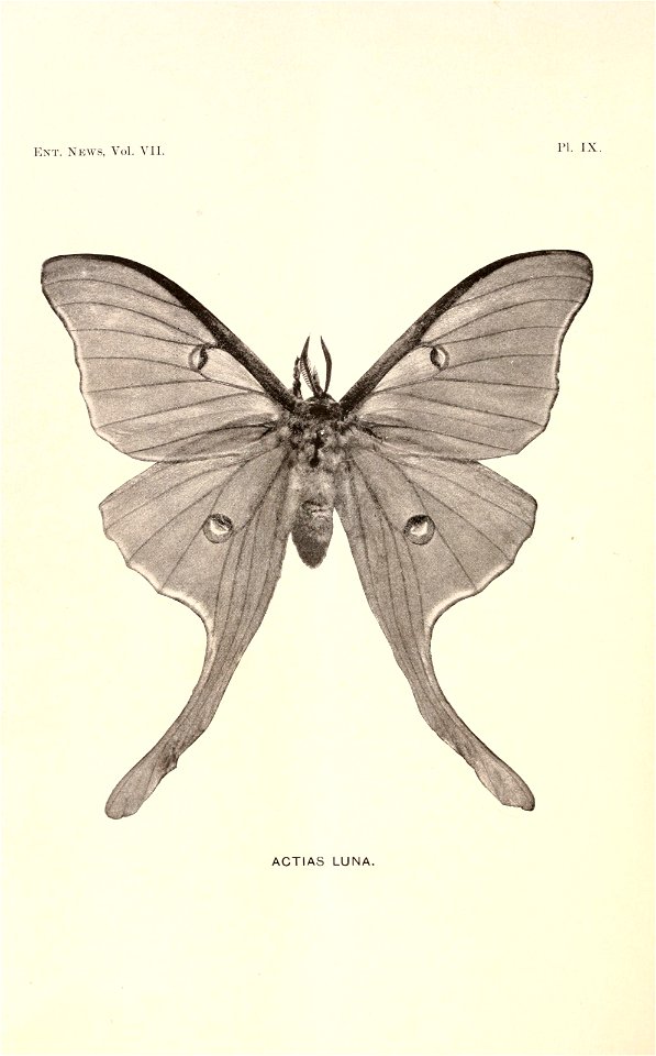 n287_w1150