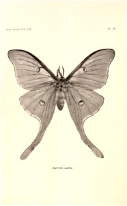 n287_w1150