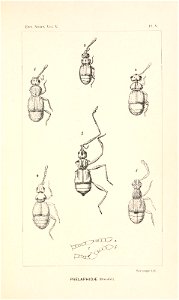 n182_w1150