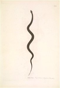 n132_w1150