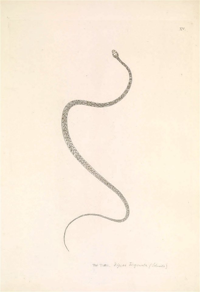 n102_w1150