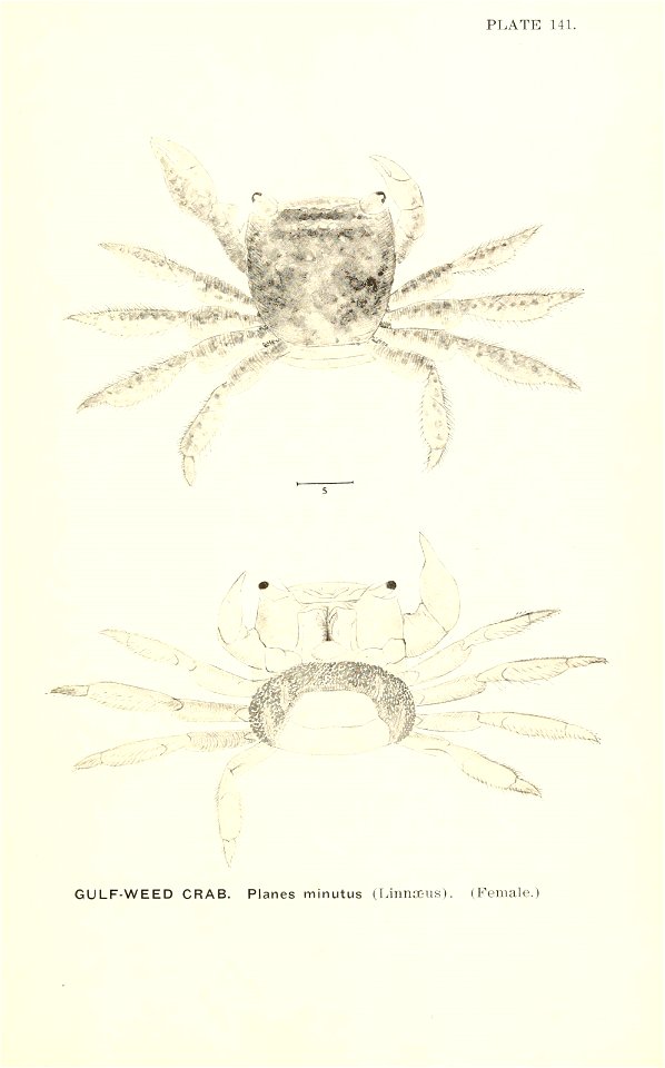 n942_w1150