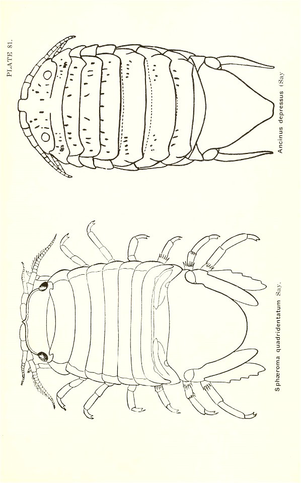 n822_w1150