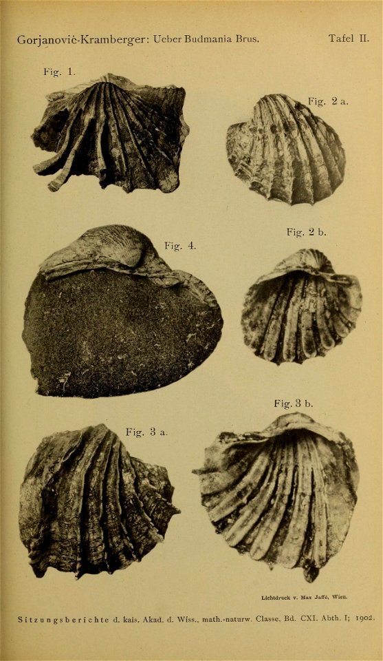 n44_w1150