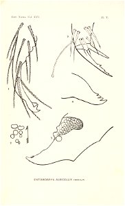 n113_w1150