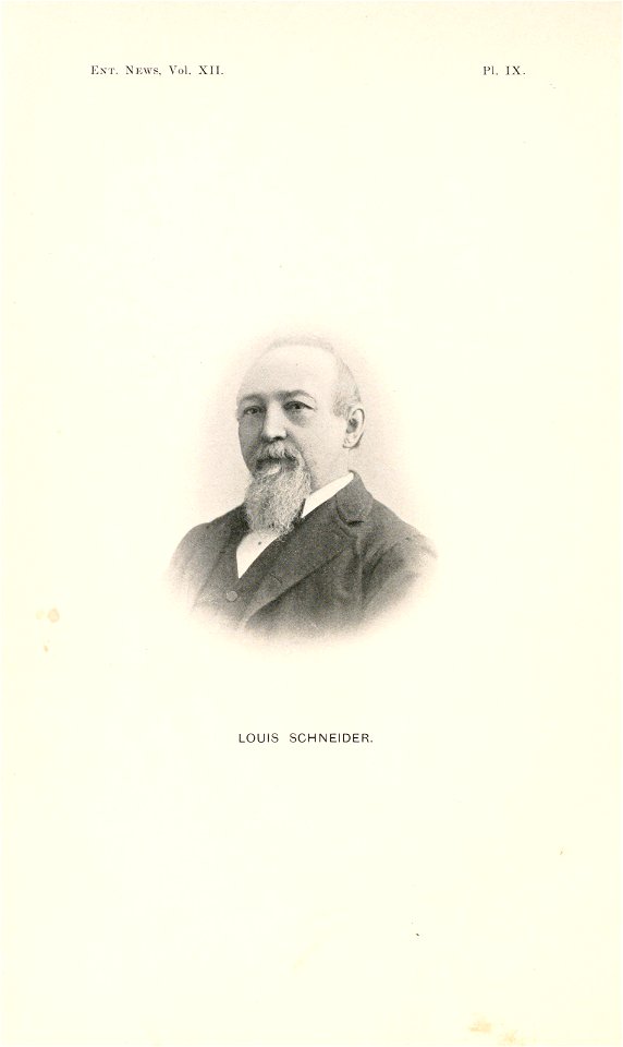 n251_w1150