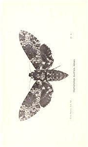 n213_w1150