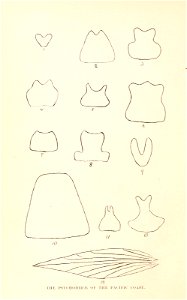 n53_w1150