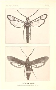 n265_w1150