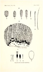 n482_w1150