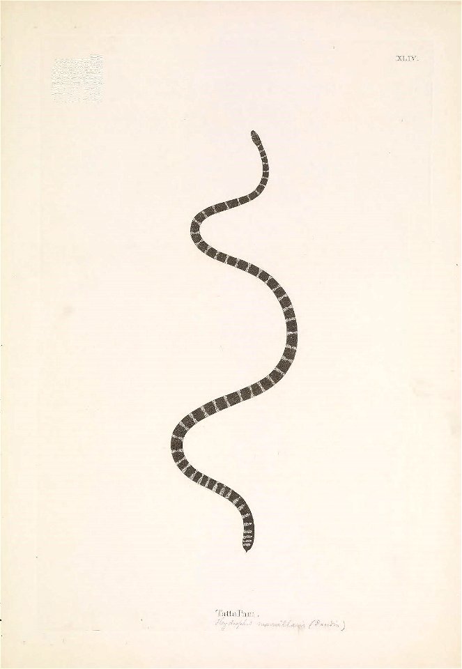 n158_w1150