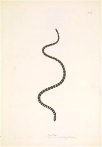 n158_w1150