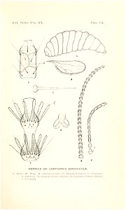 n152_w1150
