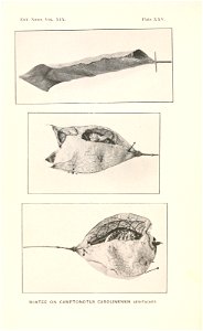 n567_w1150
