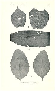 n407_w1150