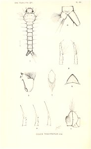 n177_w1150