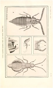 n214_w1150