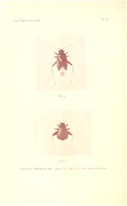 n239_w1150