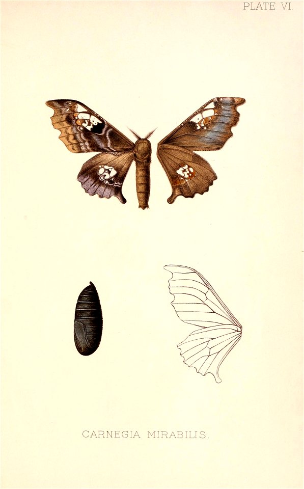 n158_w1150