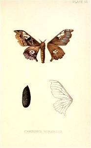 n158_w1150