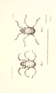 n204_w1150