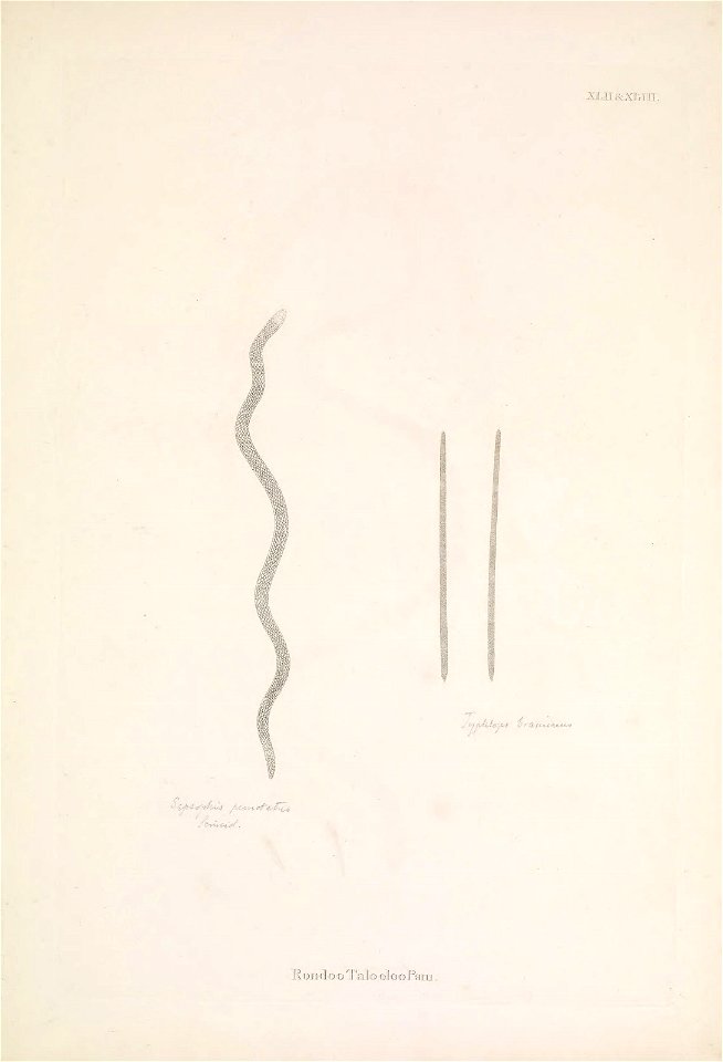 n156_w1150