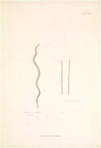 n156_w1150
