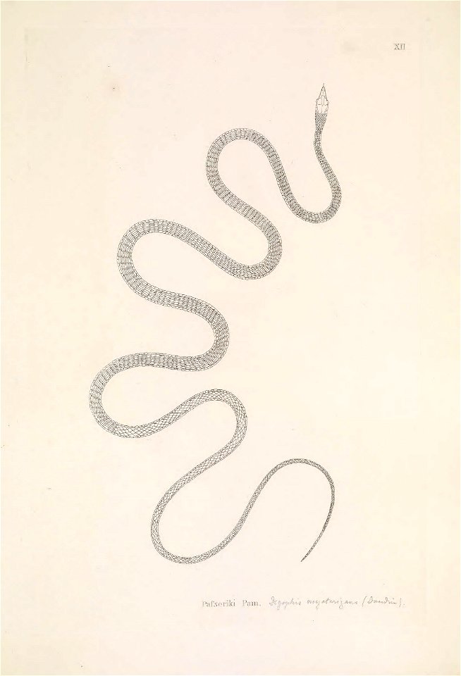 n96_w1150