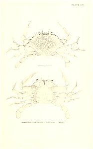 n914_w1150