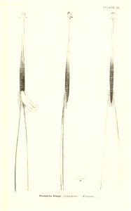 n704_w1150