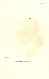 n674_w1150