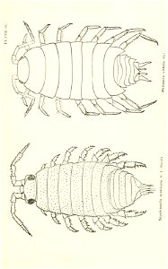 n792_w1150