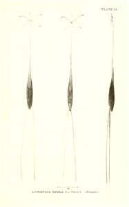n702_w1150