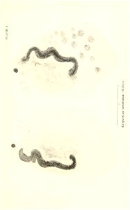 n672_w1150