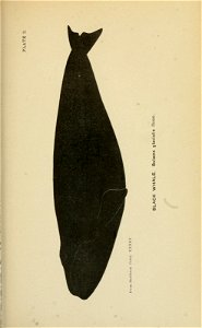 n250_w1150