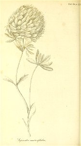 n139_w1150
