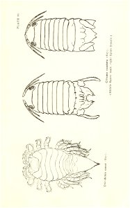 n820_w1150