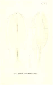 n730_w1150