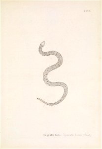 n128_w1150